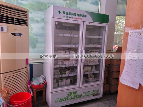 H058湖南省長沙市星沙縣手外科醫(yī)院藥品冷藏柜