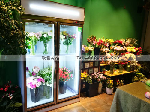 J050浙江省泰興市雙子花藝保鮮展示柜