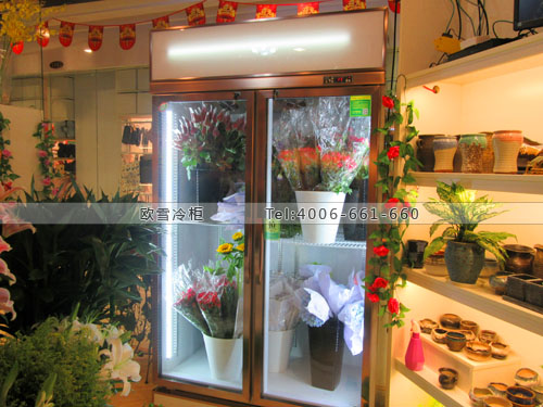 J044江蘇省南京市江寧區(qū)英子花藝保鮮展示柜