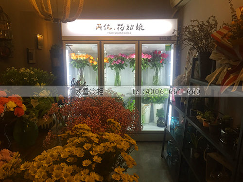 J098浙江省杭州市兩位花姑娘鮮花保鮮柜