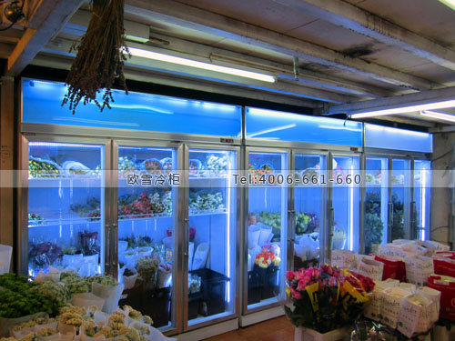 J024上海市普陀區(qū)曹家度花市鮮花展示柜