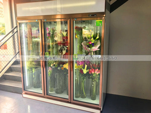 J071廣東省深圳市龍華新區(qū)緹唯納花園鮮花保鮮柜