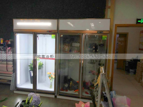 J053江蘇省南京市江寧區(qū)新華書店鮮花保鮮柜