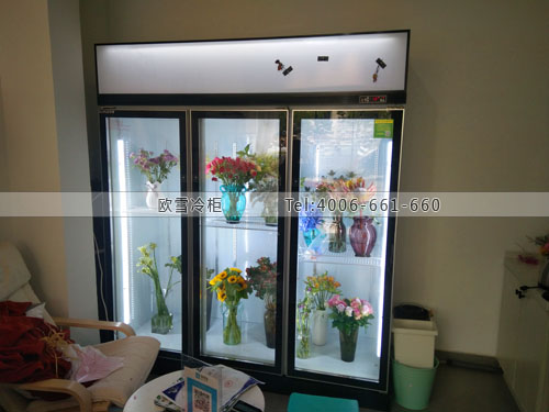 J075江蘇省常熟市占花舍花藝工作室冷藏展示柜