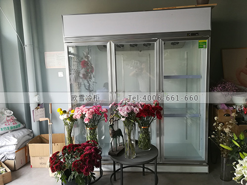 J107河北省石家莊市橋西區(qū)蜜海花藝保鮮柜