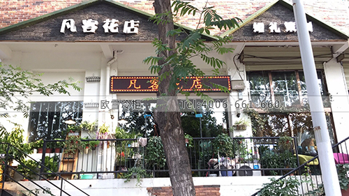 J108河南省鄭州市凡客花店保鮮柜