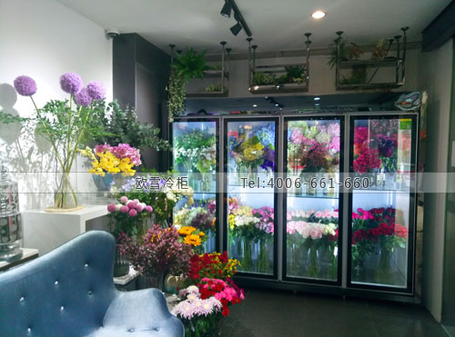 J076廣東省廣州市越秀區(qū)花時(shí)尚鮮花冷藏柜