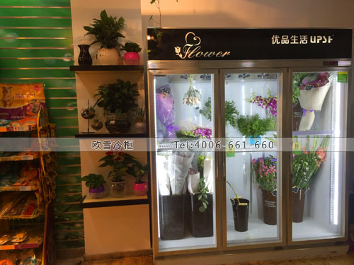 J049浙江省杭州市下城區(qū)優(yōu)品生活鮮花保鮮柜