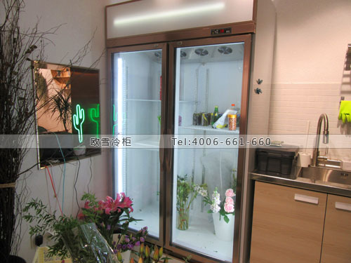 J043江蘇省南京市秦淮區(qū)ROOTS鮮花保鮮柜