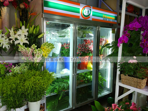 J023北京市大興區(qū)花品匯鮮花保鮮柜