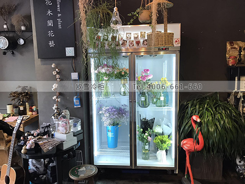 J088山東省滕州市花木蘭花藝保鮮展示柜