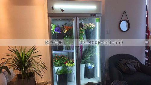 J089新疆省烏魯木齊天山區(qū)QOSE Flora花藝工作室