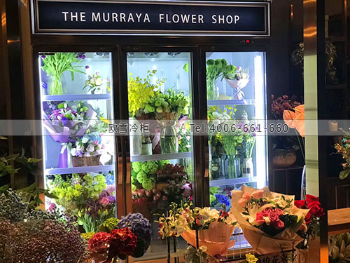 J091江蘇省南京市九里香花藝館保鮮柜