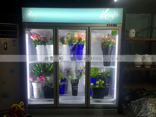 J080浙江省杭州市余杭區(qū)花草家鮮花保鮮柜