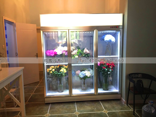 J067山東省濟(jì)南市歷下區(qū)花心思鮮花保鮮展示柜