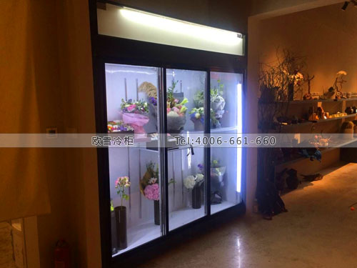 J047北京市朝陽區(qū)木森林鮮花店保鮮柜