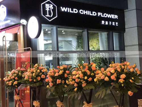 J073湖北省宜昌市野孩子花卉保鮮展示柜