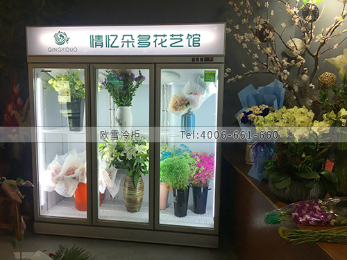 J102浙江省杭州市下城區(qū)情憶朵多花藝館冷柜