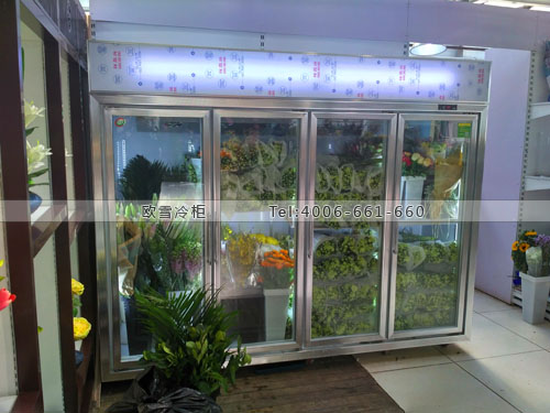 J052北京市豐臺區(qū)世紀(jì)奧橋花卉園藝超市保鮮柜