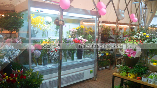 J054廣東省廣州市越秀區(qū)芯所花店保鮮展示柜