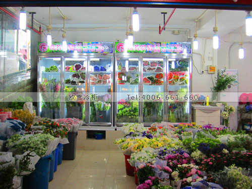 J034上海市普陀區(qū)奇芳貿(mào)易有限公司鮮花保鮮柜