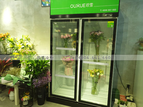 J072廣東省深圳市龍華新區(qū)格蕾小姐花坊保鮮展示柜