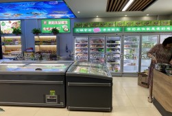冷凍柜-歐雪凍品冷藏冷凍展示柜選購(gòu)