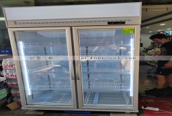 飲料柜-長沙雙開門飲料冷藏展示柜選購