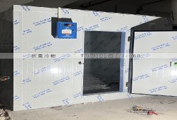 冷凍冷庫-深圳35立方的工業(yè)冷庫安裝