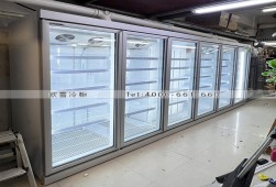 冷凍柜-香港六門低溫展示柜選購