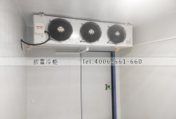 水果冷庫-湖南邵陽水果店小型保鮮冷庫安裝