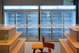 冷柜-浙江杭州三門冷藏冷凍展示柜選購